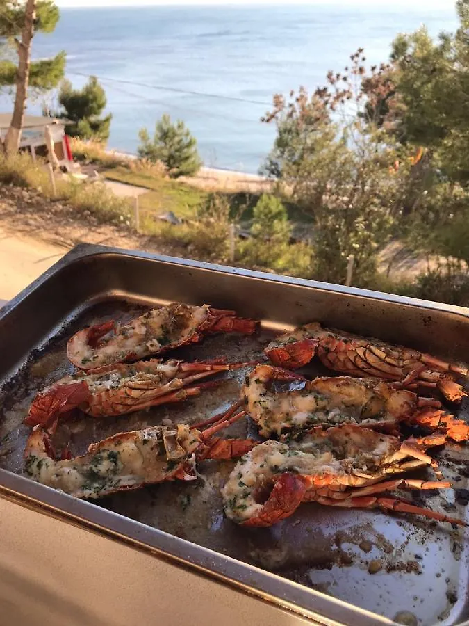 Hotel Villa D restaurant&private beach Durrës